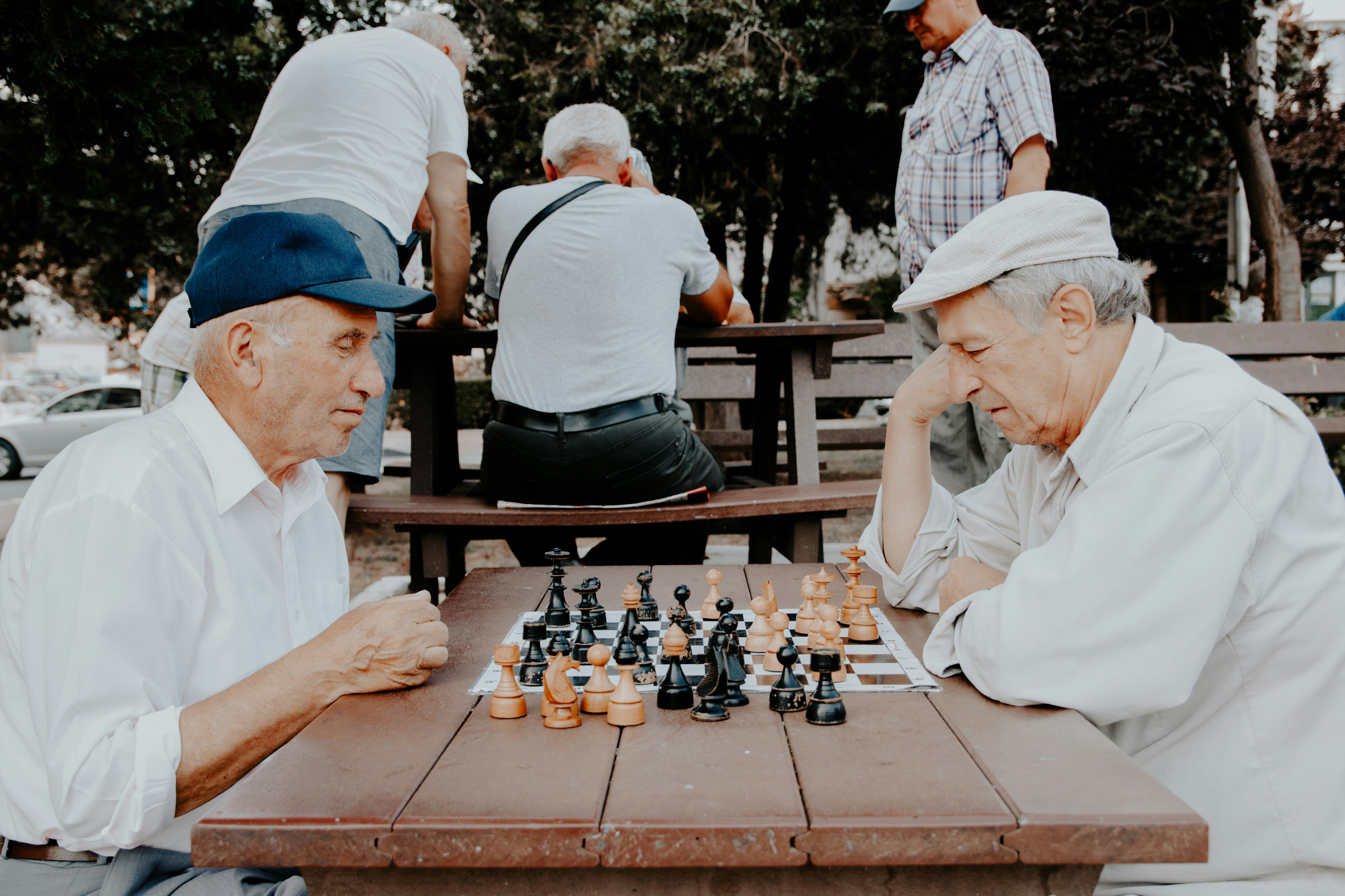 elderly social activities